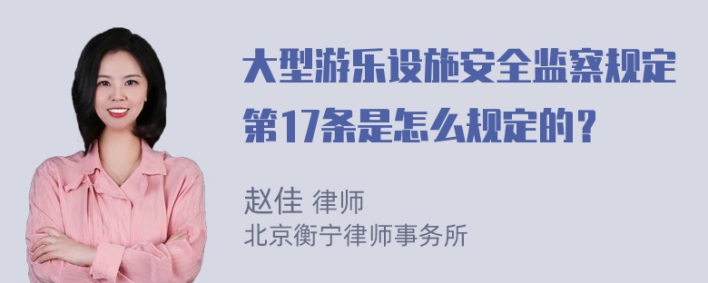 大型游乐设施安全监察规定第17条是怎么规定的？