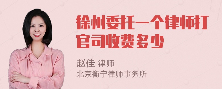 徐州委托一个律师打官司收费多少