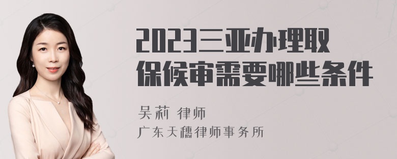 2023三亚办理取保候审需要哪些条件