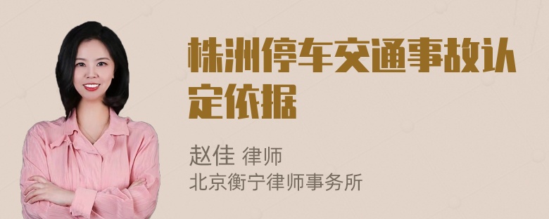 株洲停车交通事故认定依据