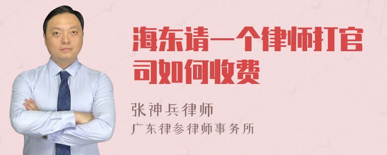 海东请一个律师打官司如何收费