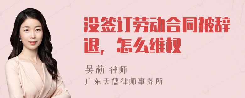 没签订劳动合同被辞退，怎么维权