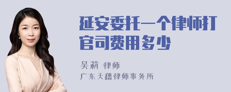 延安委托一个律师打官司费用多少