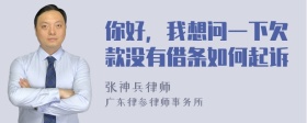 你好，我想问一下欠款没有借条如何起诉