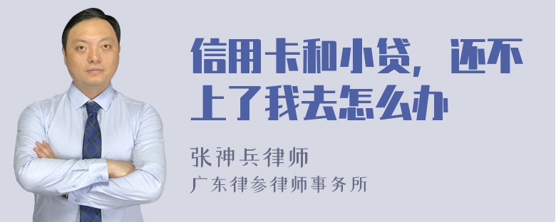 信用卡和小贷，还不上了我去怎么办