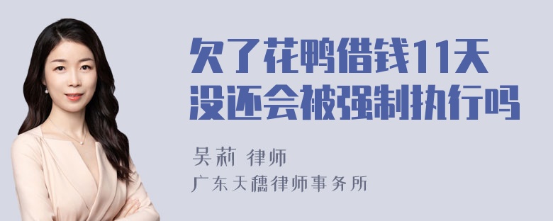 欠了花鸭借钱11天没还会被强制执行吗