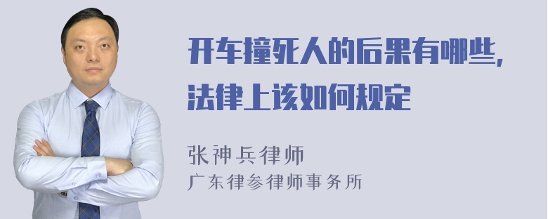 开车撞死人的后果有哪些，法律上该如何规定