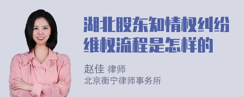 湖北股东知情权纠纷维权流程是怎样的