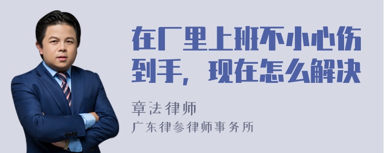 在厂里上班不小心伤到手，现在怎么解决