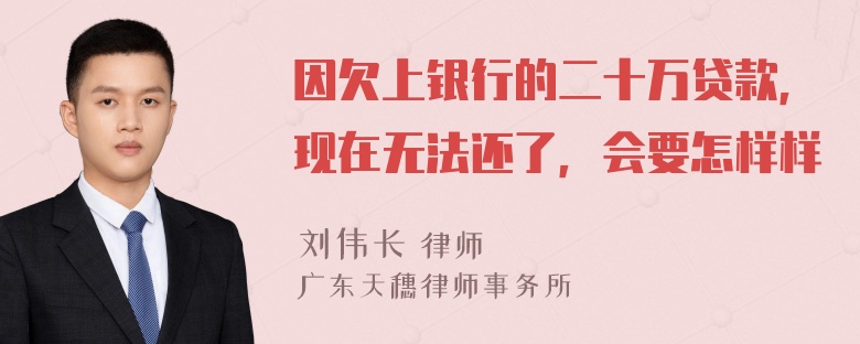 因欠上银行的二十万贷款，现在无法还了，会要怎样样