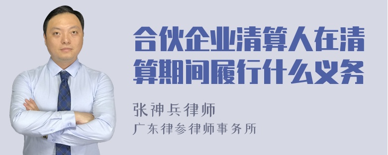 合伙企业清算人在清算期间履行什么义务