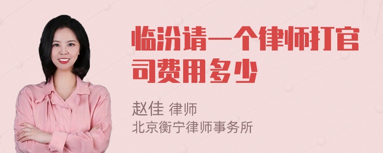 临汾请一个律师打官司费用多少