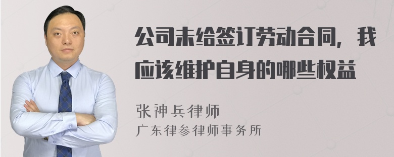 公司未给签订劳动合同，我应该维护自身的哪些权益