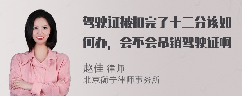 驾驶证被扣完了十二分该如何办，会不会吊销驾驶证啊