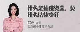 什么是抽逃资金，负什么法律责任