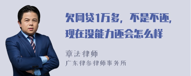 欠网贷1万多，不是不还，现在没能力还会怎么样