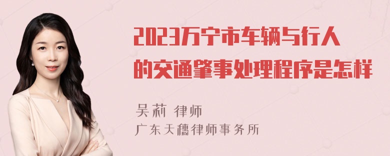 2023万宁市车辆与行人的交通肇事处理程序是怎样