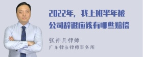 2022年，我上班半年被公司辞退应该有哪些赔偿