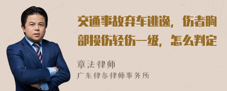 交通事故弃车逃逸，伤者胸部损伤轻伤一级，怎么判定