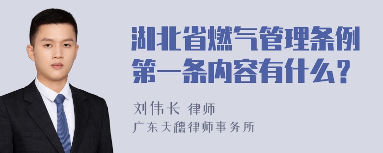 湖北省燃气管理条例第一条内容有什么？