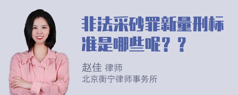 非法采砂罪新量刑标准是哪些呢？？