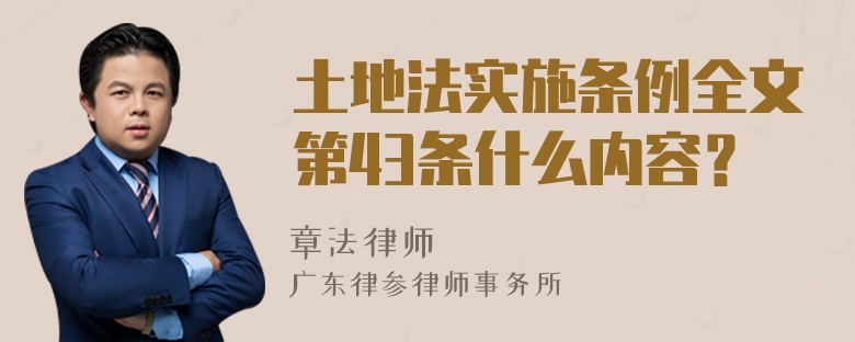 土地法实施条例全文第43条什么内容？