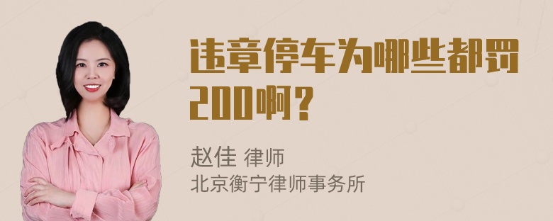 违章停车为哪些都罚200啊？