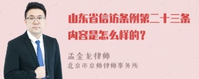 山东省信访条例第二十三条内容是怎么样的？