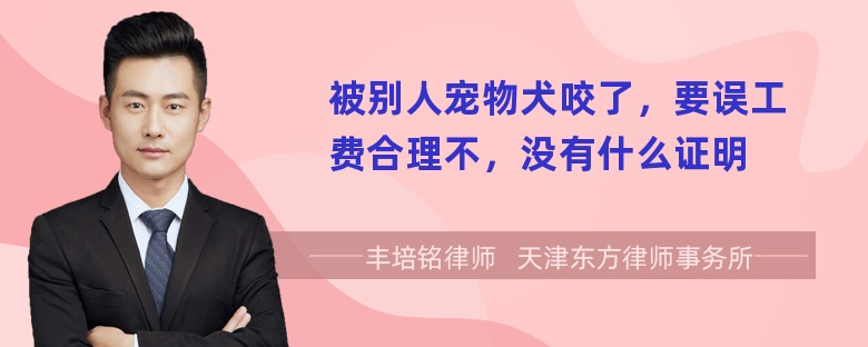 被别人宠物犬咬了，要误工费合理不，没有什么证明