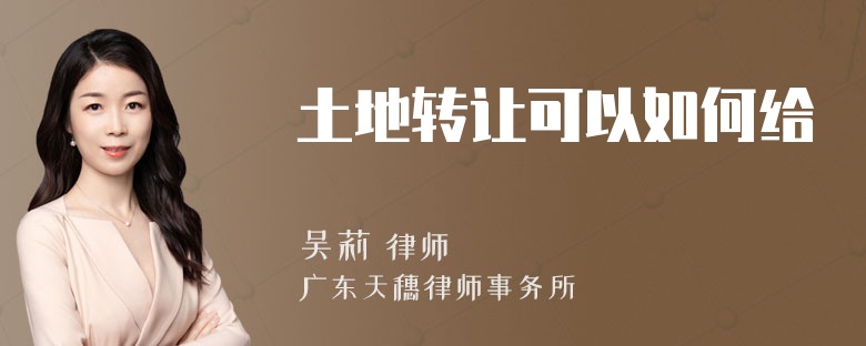 土地转让可以如何给