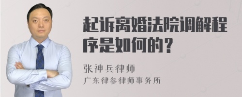 起诉离婚法院调解程序是如何的？