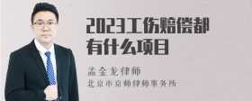 2023工伤赔偿都有什么项目