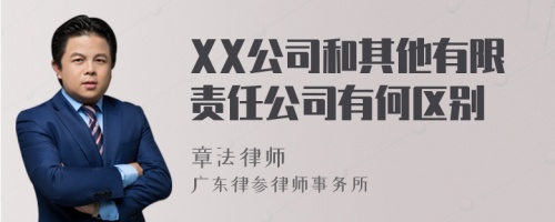 XX公司和其他有限责任公司有何区别