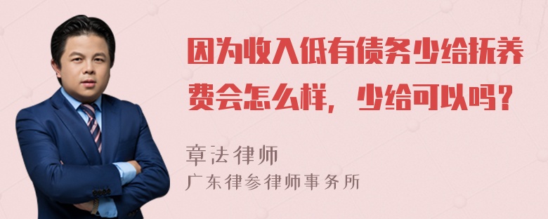 因为收入低有债务少给抚养费会怎么样，少给可以吗？