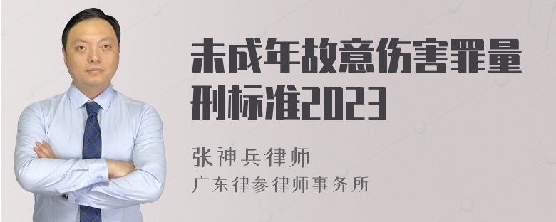 未成年故意伤害罪量刑标准2023