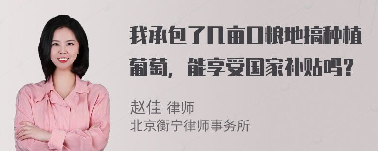 我承包了几亩口粮地搞种植葡萄，能享受国家补贴吗？