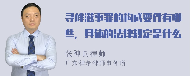 寻衅滋事罪的构成要件有哪些，具体的法律规定是什么