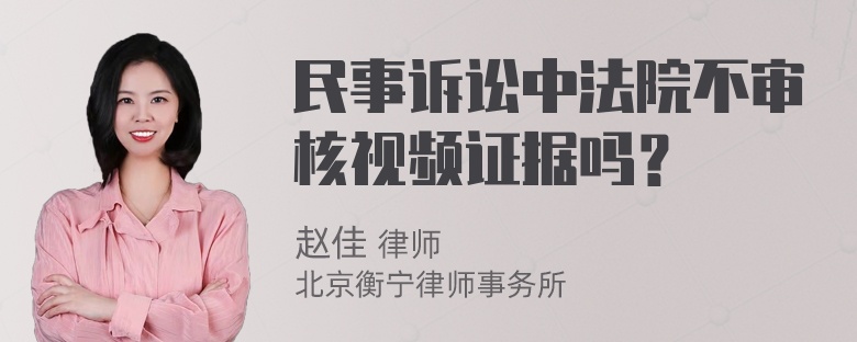 民事诉讼中法院不审核视频证据吗？