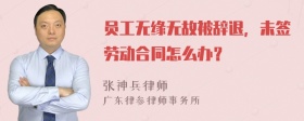 员工无缘无故被辞退，未签劳动合同怎么办？