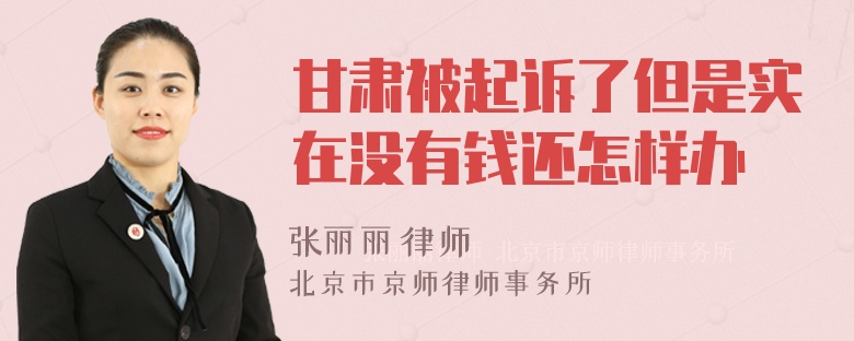 甘肃被起诉了但是实在没有钱还怎样办