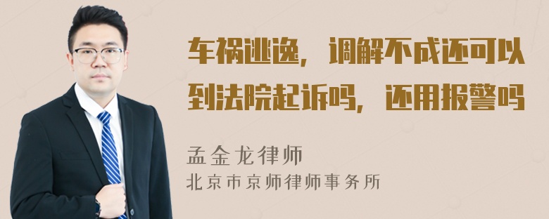 车祸逃逸，调解不成还可以到法院起诉吗，还用报警吗