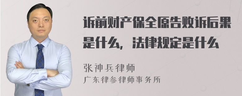 诉前财产保全原告败诉后果是什么，法律规定是什么