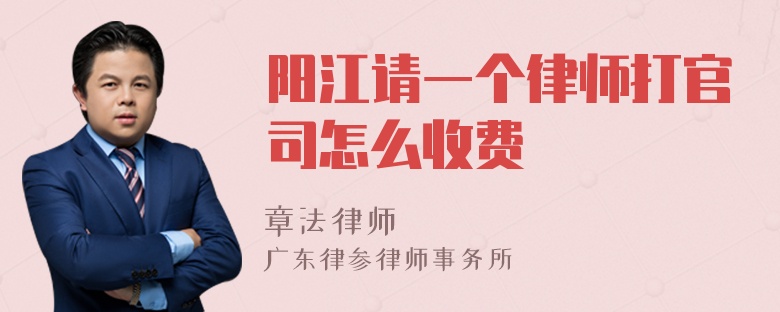 阳江请一个律师打官司怎么收费