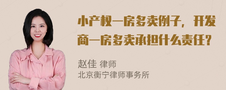 小产权一房多卖例子，开发商一房多卖承担什么责任？