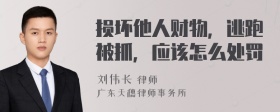 损坏他人财物，逃跑被抓，应该怎么处罚