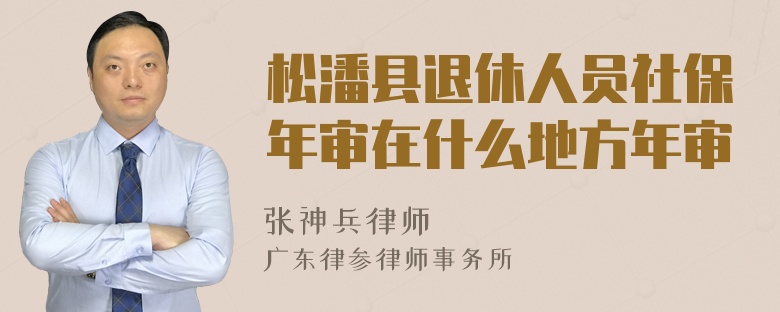 松潘县退休人员社保年审在什么地方年审