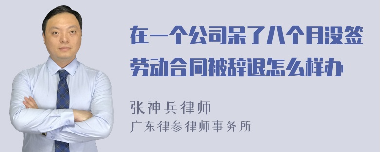 在一个公司呆了八个月没签劳动合同被辞退怎么样办