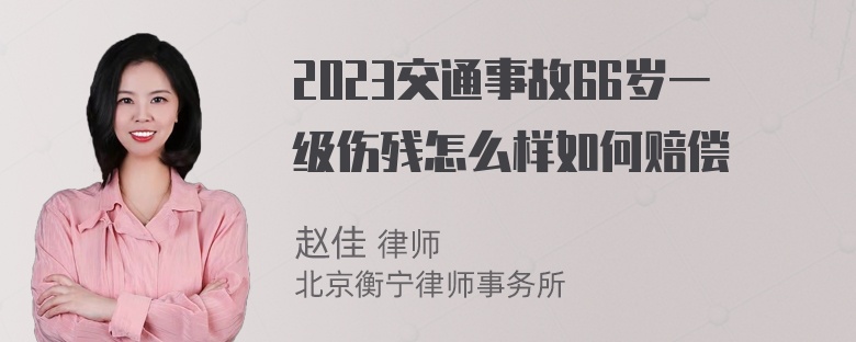 2023交通事故66岁一级伤残怎么样如何赔偿