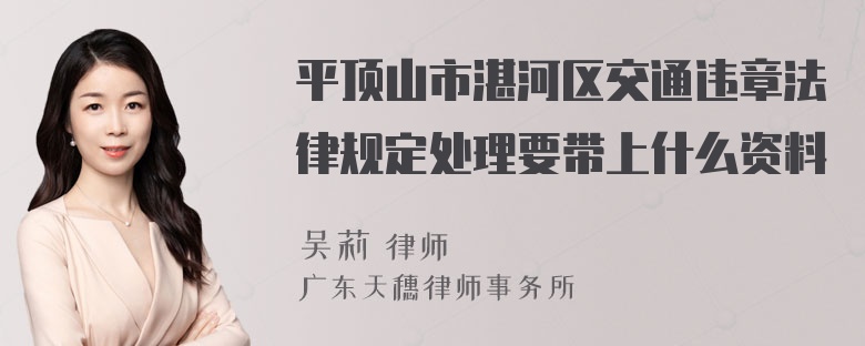 平顶山市湛河区交通违章法律规定处理要带上什么资料