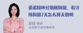 弟弟损坏公物被拘留，看守所拘留7天怎么算天数啊